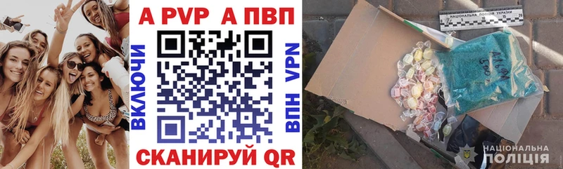 kraken ТОР Гатчина Alpha PVP СК