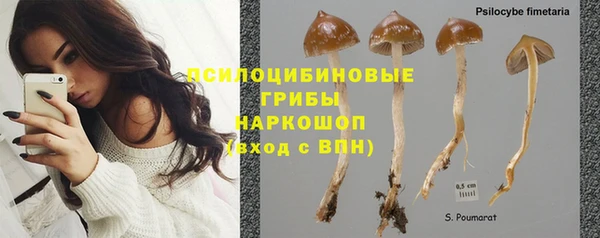 амф Аркадак