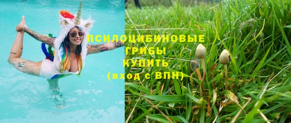твердый Балахна