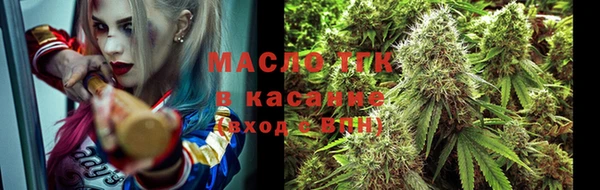 гидра Кинешма