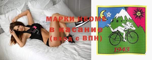 гидра Кинешма