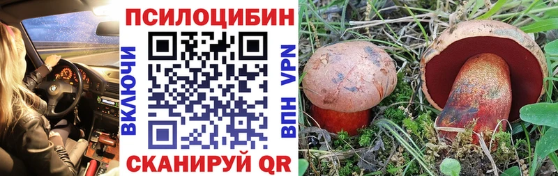 Галлюциногенные грибы GOLDEN TEACHER  Гатчина 