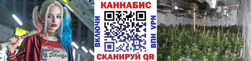 МЕГА рабочий сайт  Гатчина  Бошки Шишки VHQ 